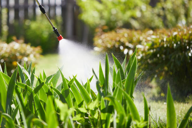 24/7 Emergency Ant Control experts in Porterville, CA