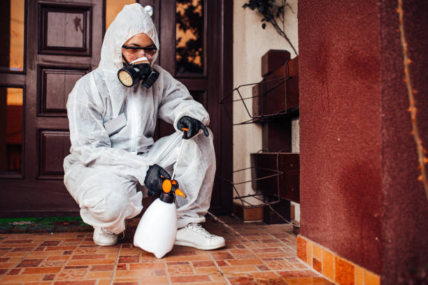 Reliable Ant Control contractor in Porterville, CA by Nex Pest Control